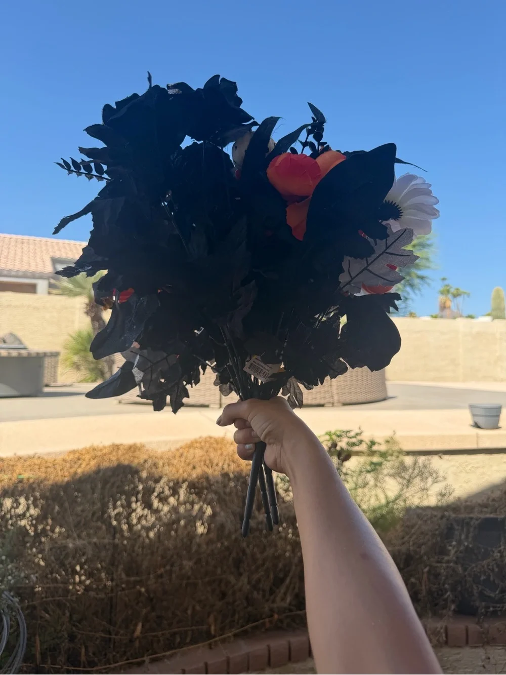 3 new Halloween zinia boquets new festive flowers